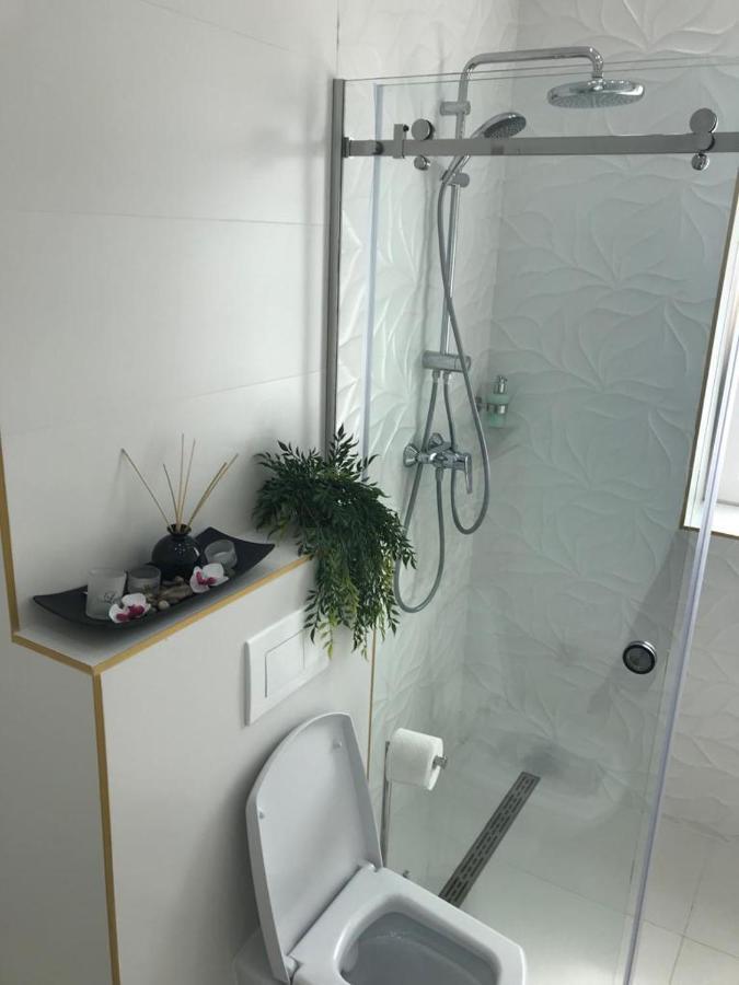 Victoria Luxury Apartment 11 布加勒斯特 外观 照片