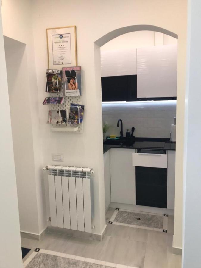 Victoria Luxury Apartment 11 布加勒斯特 外观 照片