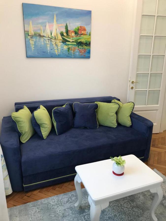 Victoria Luxury Apartment 11 布加勒斯特 外观 照片